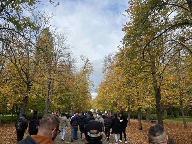 17f8f6bf-784c-48d1-9fa6-e6f9a31ed701